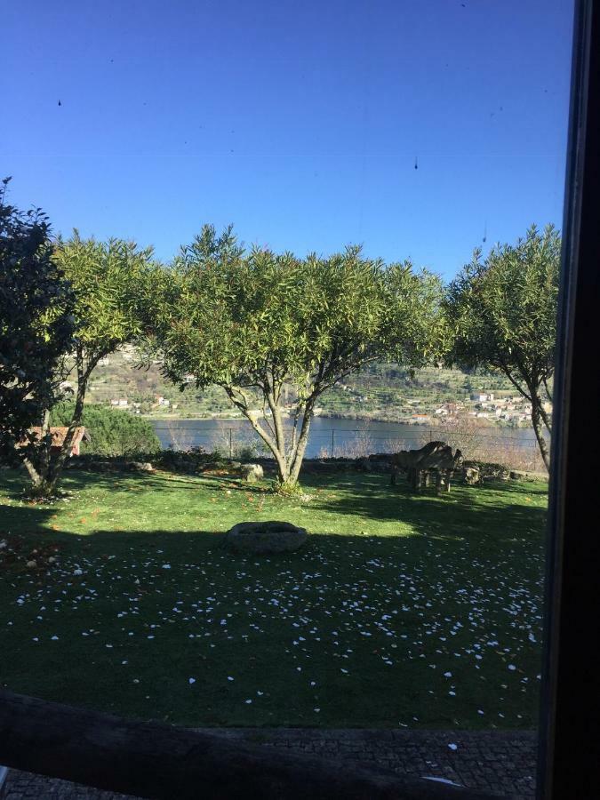 Quinta Da Ventuzela Hotel Cinfães Kültér fotó