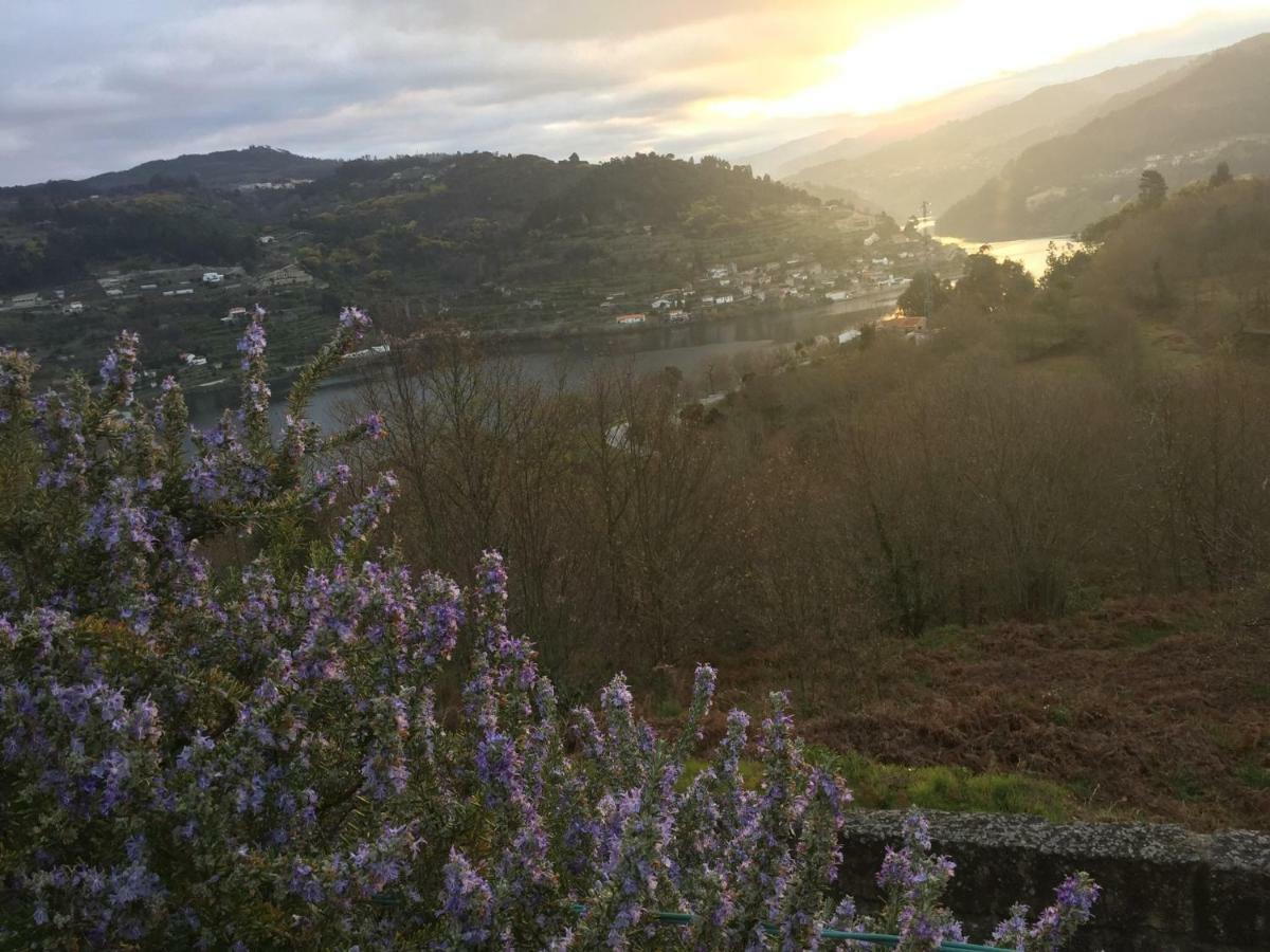 Quinta Da Ventuzela Hotel Cinfães Kültér fotó